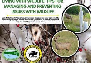 wildlifeconflict wildlifeconflict