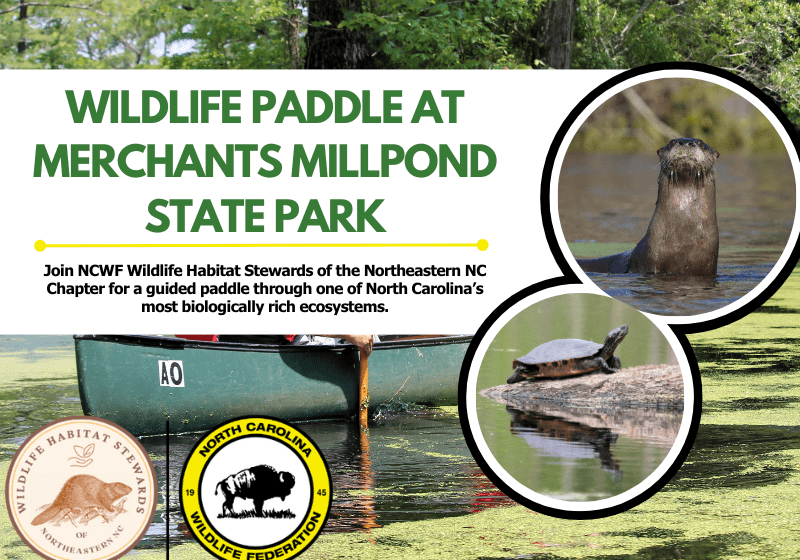 wildlifepaddle2