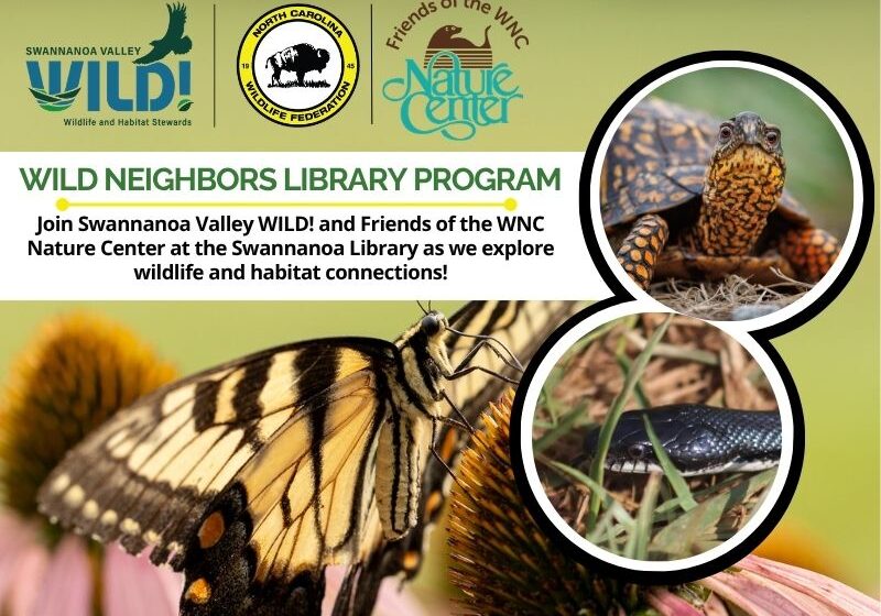 wnclibrary