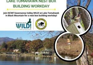 woodducks