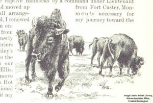 Bison are an extinct wildlife species in North Carolina