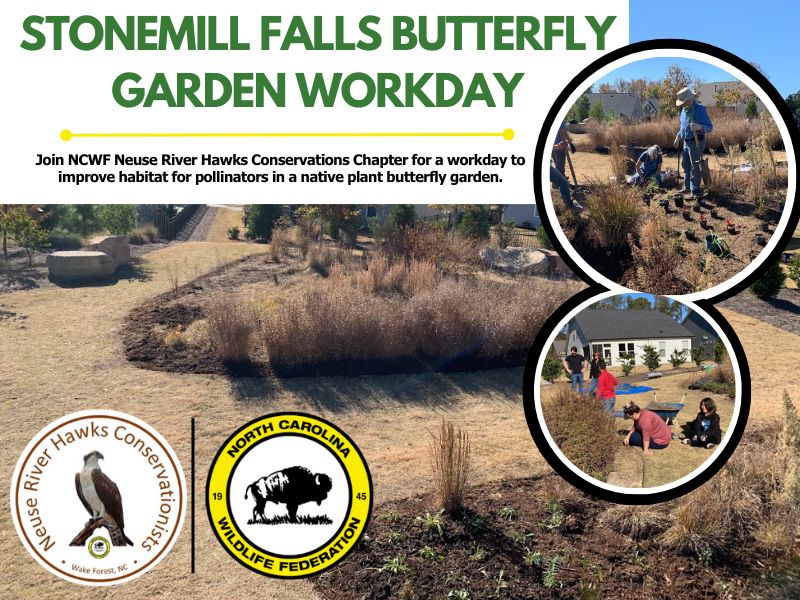 butterflygarden butterflygarden