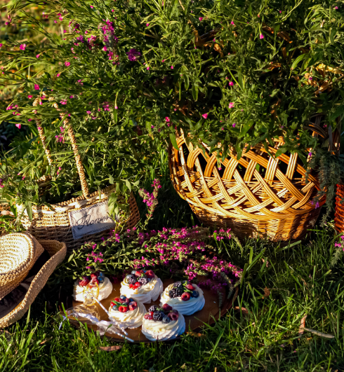 Cakes on a blanket at a picnic in nature.