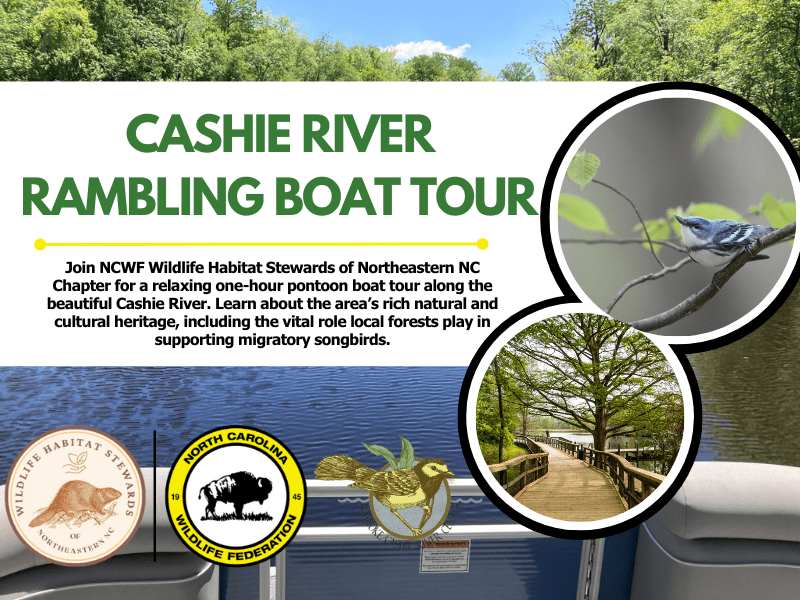 cashieboattour cashieboattour