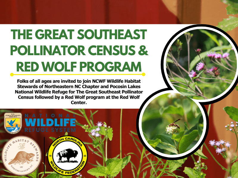 censusandredwolves censusandredwolves