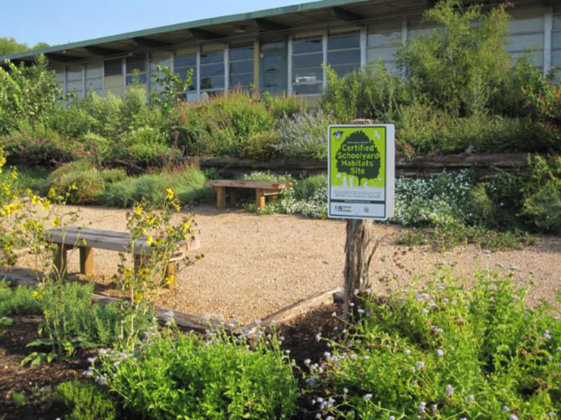 NCWF Certified Schoolyard Habitat