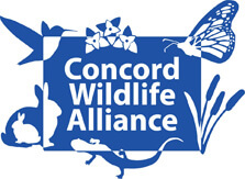Concord Wildlife Alliance