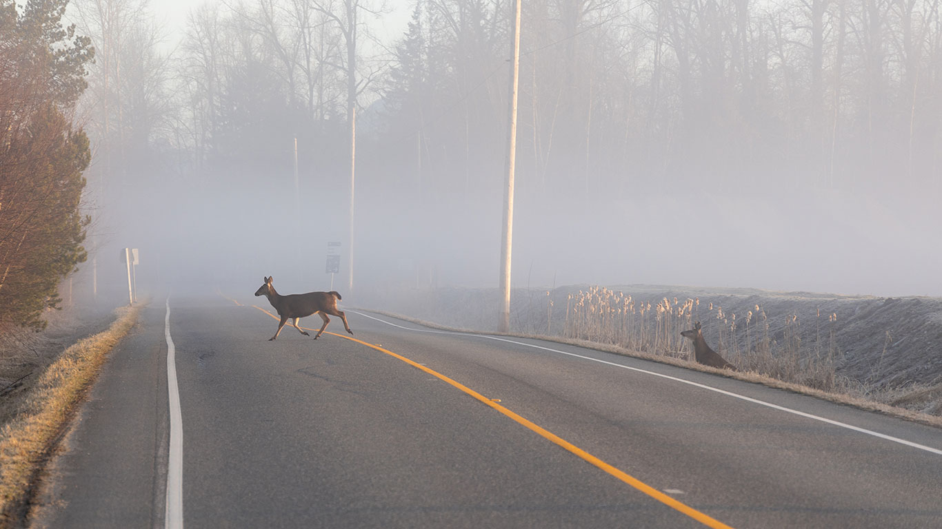 Connecting Habitat Saves Lives