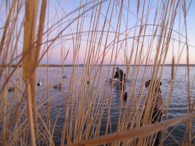 Duck hunting in North Carolina