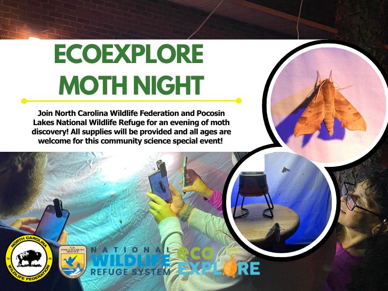 ecoexploremothnight
