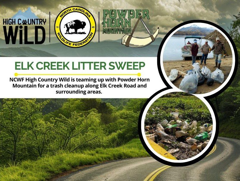 Program Banners - 84