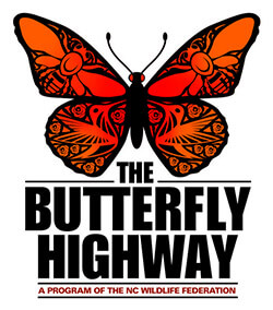 The Butterfly Highway