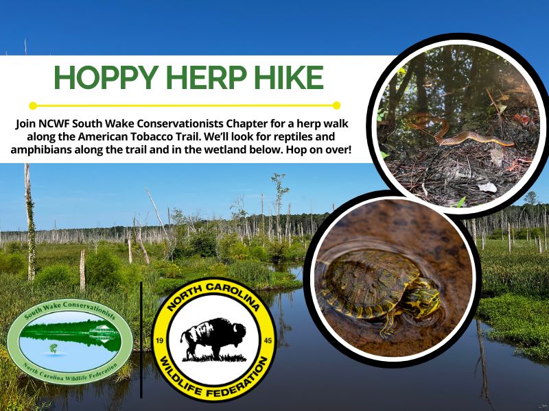 herphike