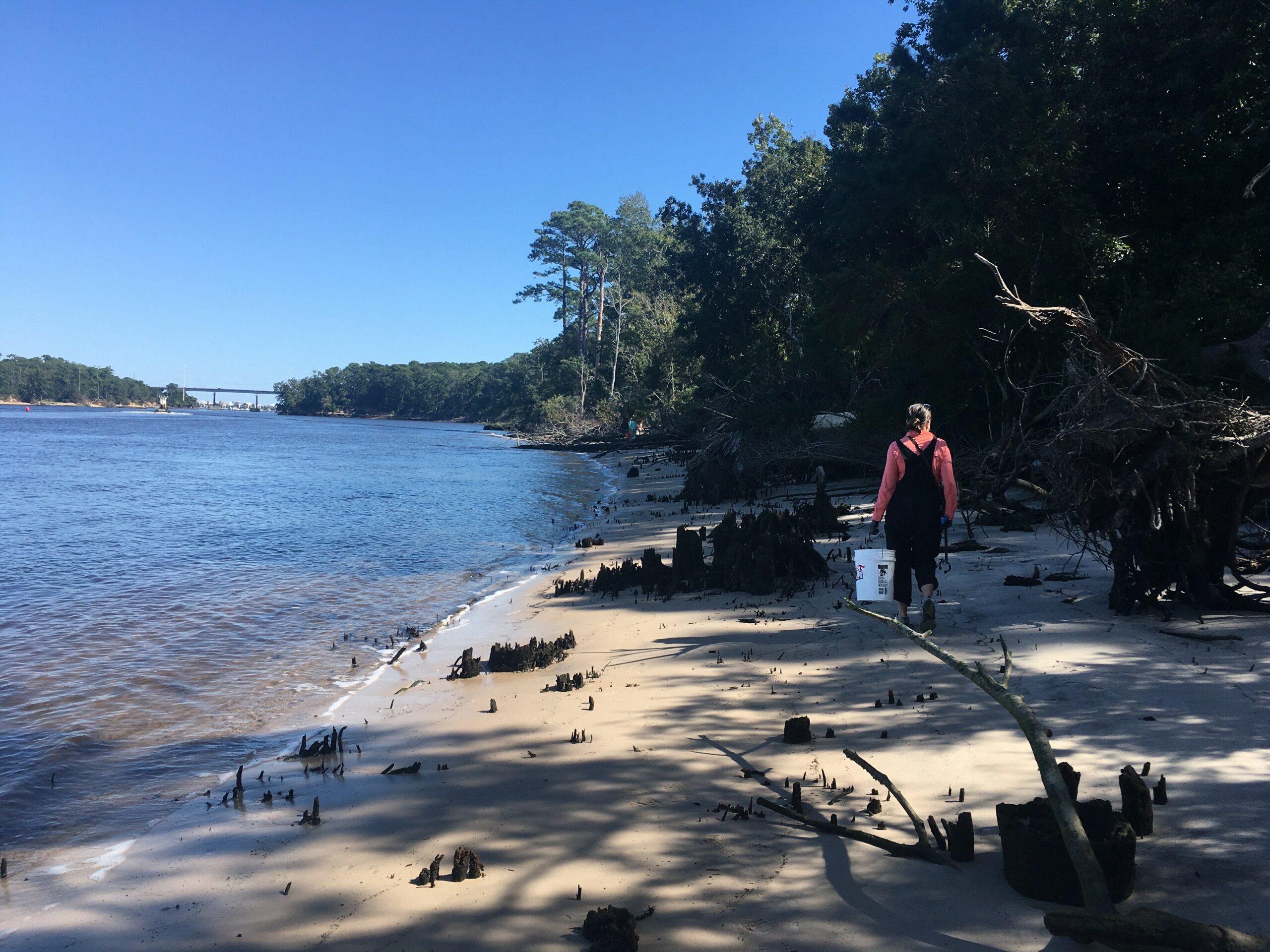 Island Wildlife chapter members recently collected 114 pounds of trash near the marina along the intercoastal waterway at Carolina Beach State Park.