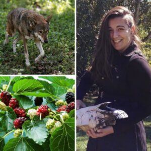 A photo of Katerina Ramos, Red Wolf Education and Outreach Coordinator on the NCWF Outreach Team