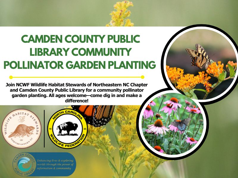 librarypollinatorgarden