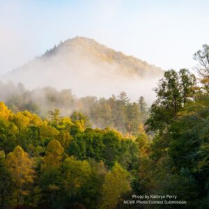 A photo of a forested North Carolina mountain, one of many in the geographically ancient Blue Ridge mountains landscape