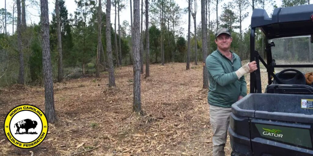 A photo of a man doing conservation work on his land for Red Wolves and hunting