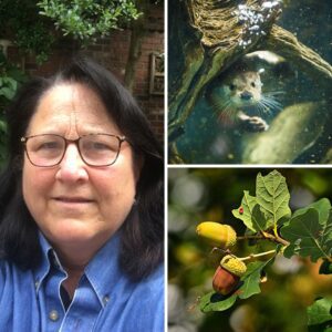 A photo of Mary Bures, VP of Outdoor Engagement on the NCWF Outreach Team