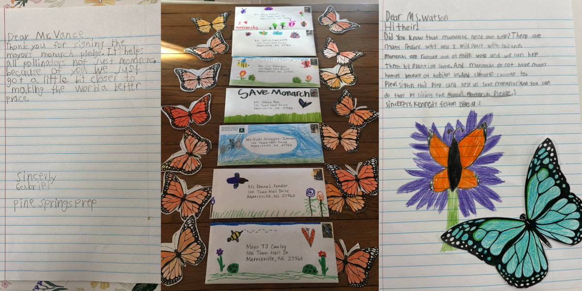Wake County is now one of the most monarch-friendly counties in the country, thanks to South Wake Conservationists and a letter-writing campaign by pioneering third-graders from Pine Springs Preparatory Academy.