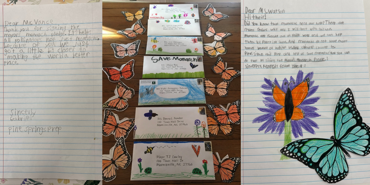 monarch butterfly letters