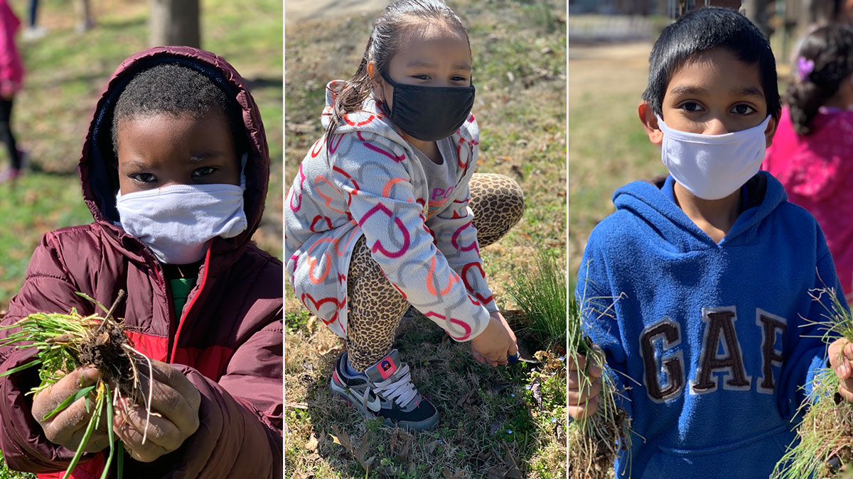 Millbrook Students Get Outside and Restore Habitat on Campus 