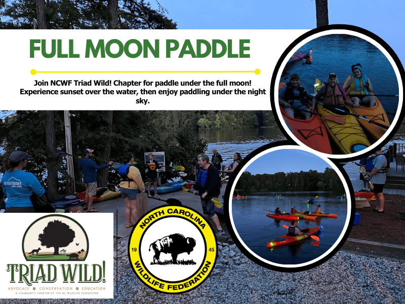 moonpaddle moonpaddle