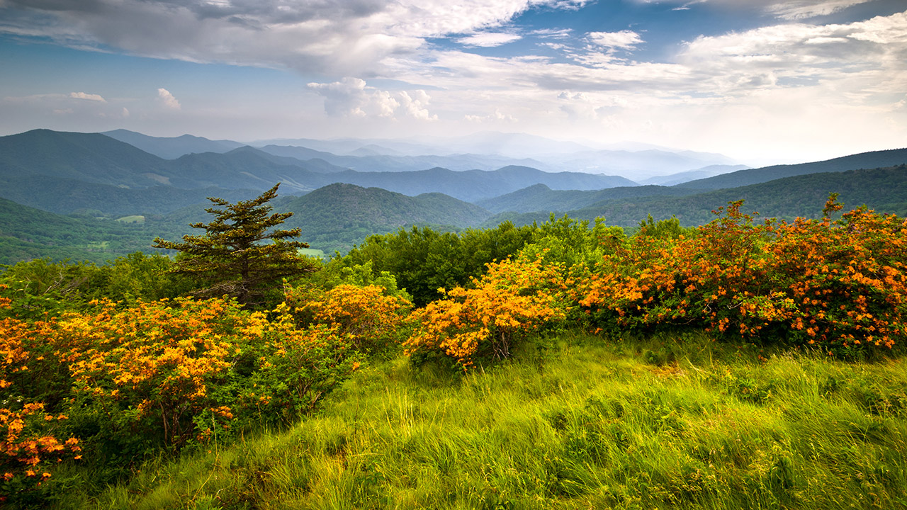 North Carolina National Forest & Refuges