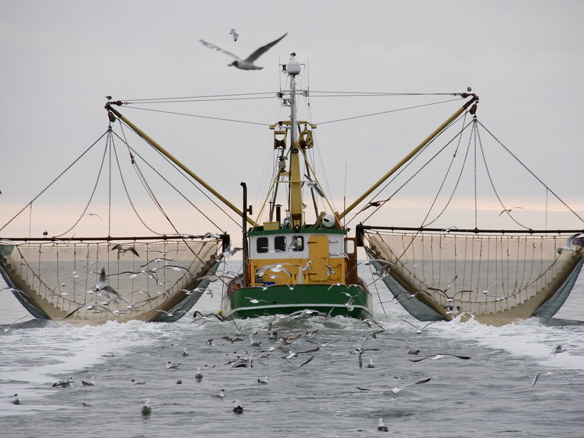 Fishing Boat Vessel Trawlboat Model