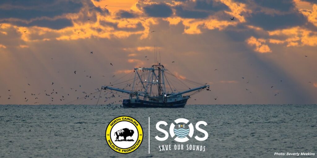 ncwrc trawl