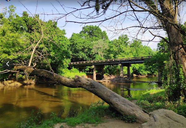 A large dead tree bending over the Neuse River with a bridge trail in the background.