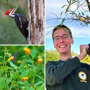 A photo of Luke Bennett, Conservation Coordinator on the NCWF Outreach Team