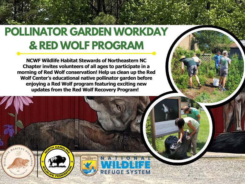 pgredwolfprogram