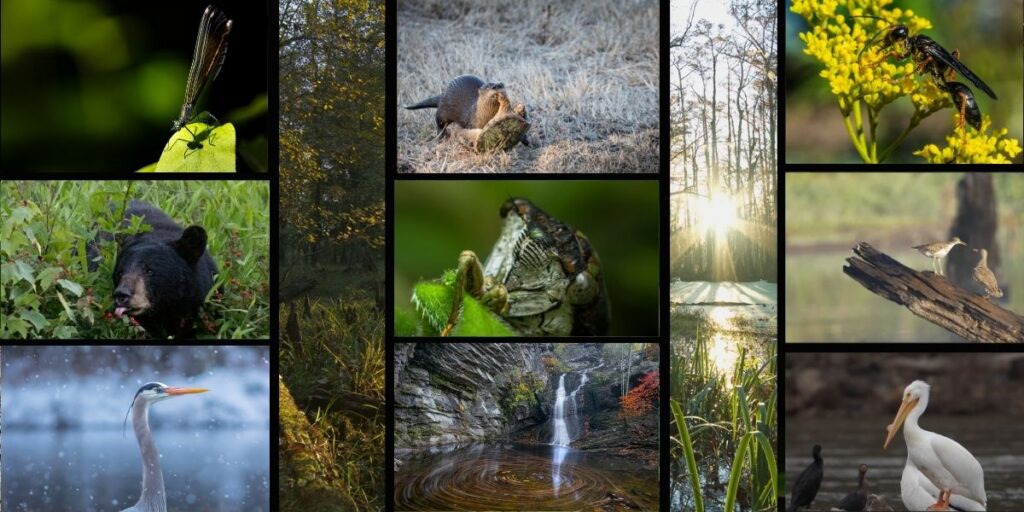 photo contest blog header (2)