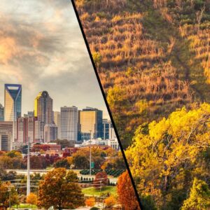 A photo of the Charlotte, NC city skyline next to an old field habitat, both examples of landscapes within the North Carolina Piedmont.