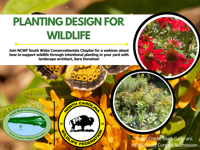 plantingdesign plantingdesign