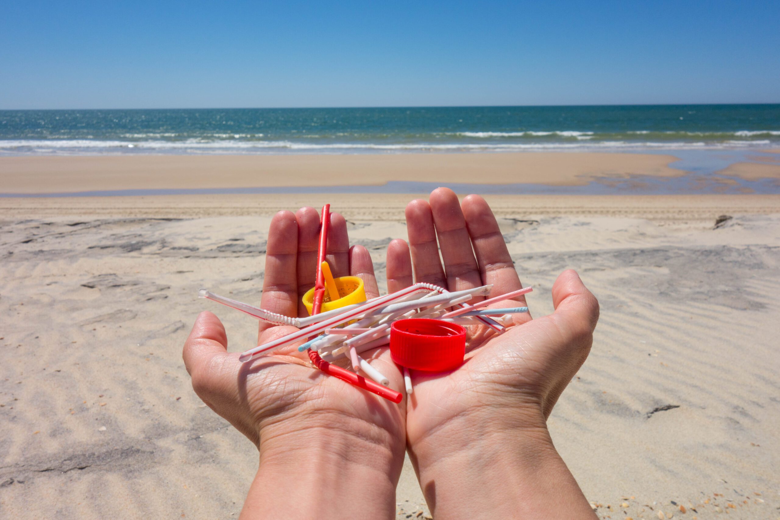a handful of plastic bits collected in a pair of hands with the ocean in the background