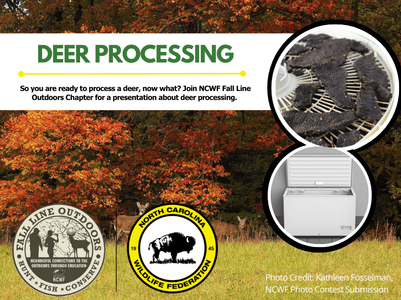 processing101