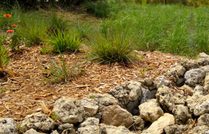 A rain garden with rocks and indian blanket flowers.
