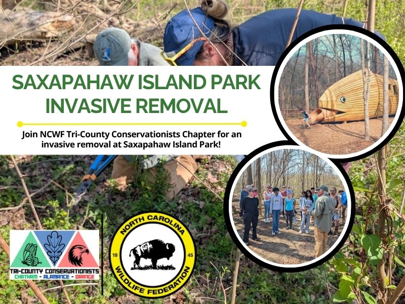 saxapahaw2