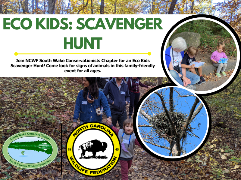 scavenger
