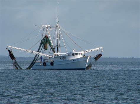 shrimp trawling boat