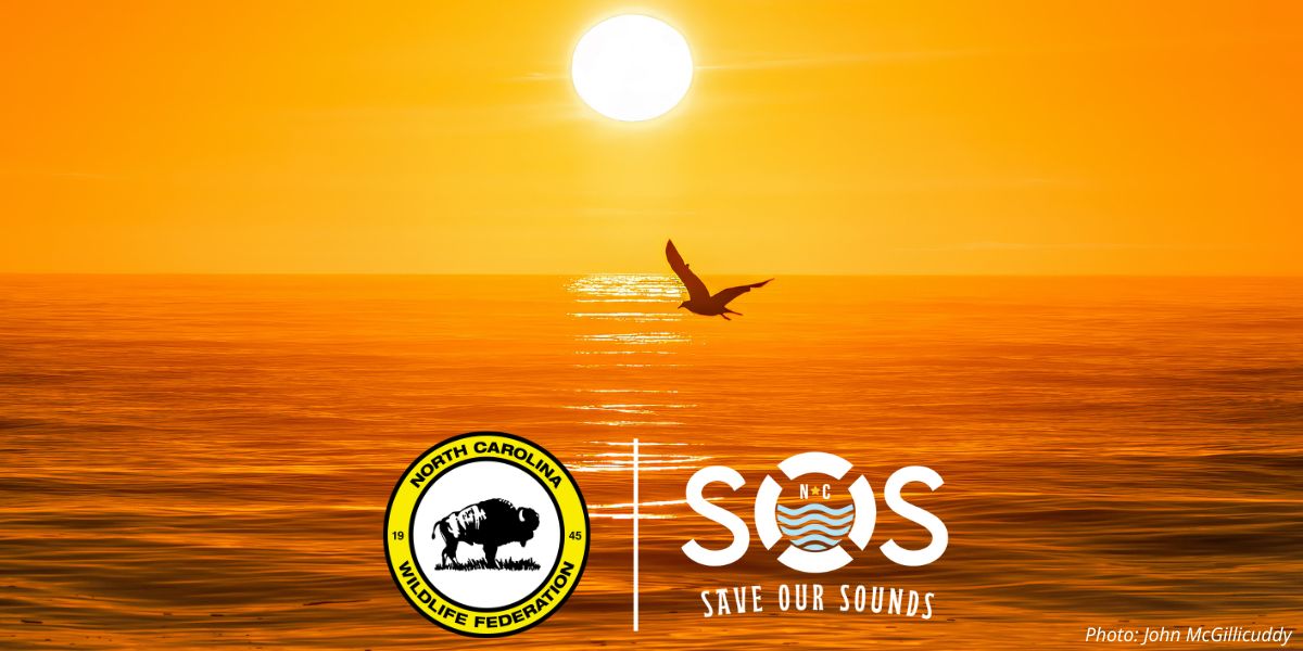 sos win (1) sos win (1)