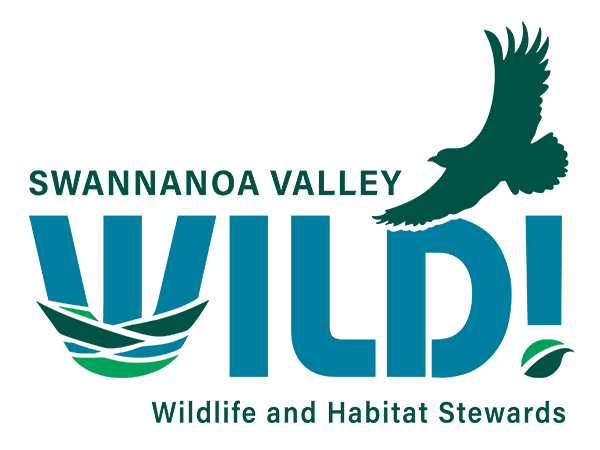 Swannanoa Valley Wild Swannanoa Valley Wild