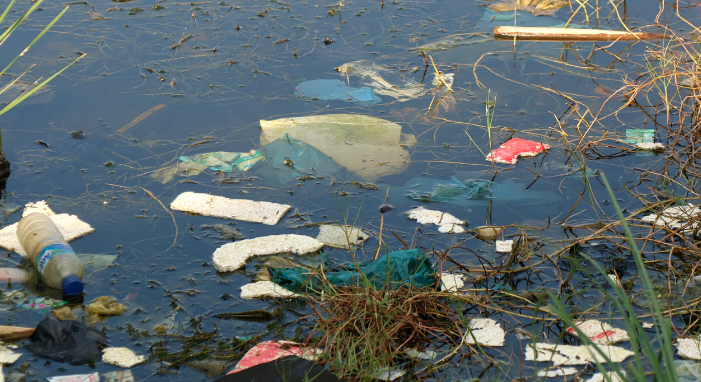 Trash floating in a river.