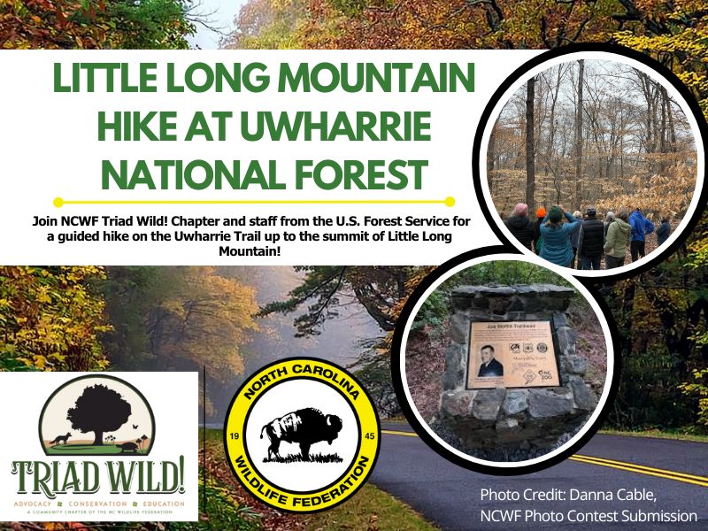 uwharrie