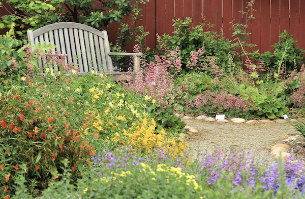 How to design a backyard wildlife habitat - Welcome Wildlife