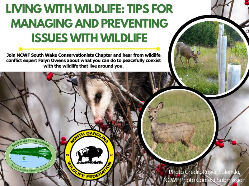 wildlifeconflict