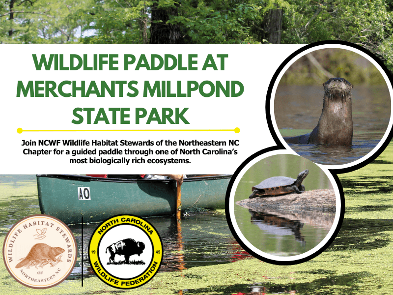 wildlifepaddle2